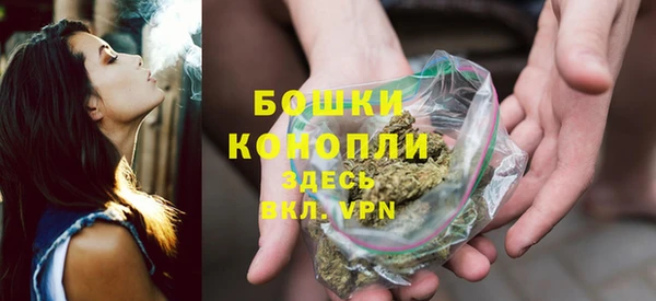 гидропоника Гусиноозёрск