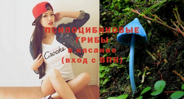 mix Гусь-Хрустальный