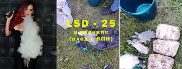 гидропоника Гусиноозёрск