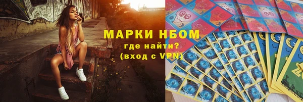 гидропоника Гусиноозёрск
