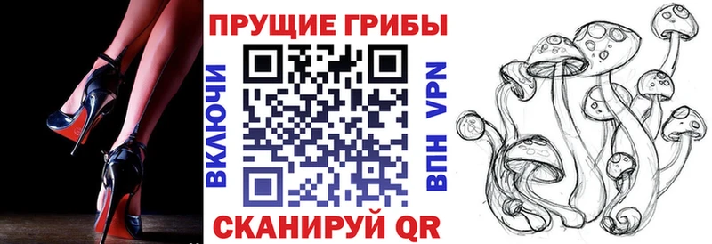 Галлюциногенные грибы Magic Shrooms Михайловск